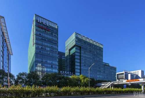 金东区红曲酒厂家