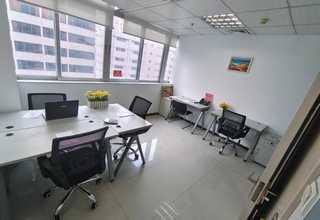 上城区耐寒植物出租报价