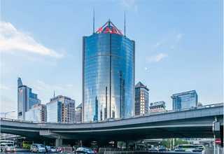 山东冷季型草坪报价表