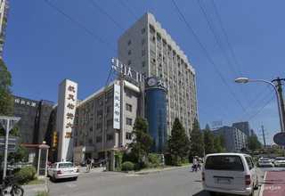 芦淞区常规图文设计代理品牌